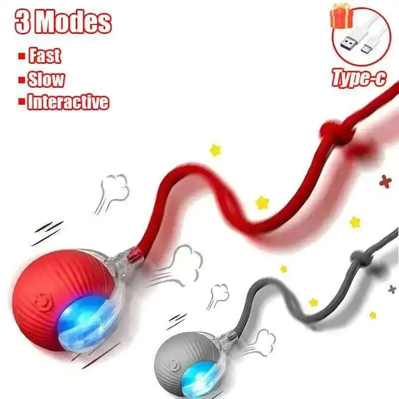 Interactive Dog Ball Toy