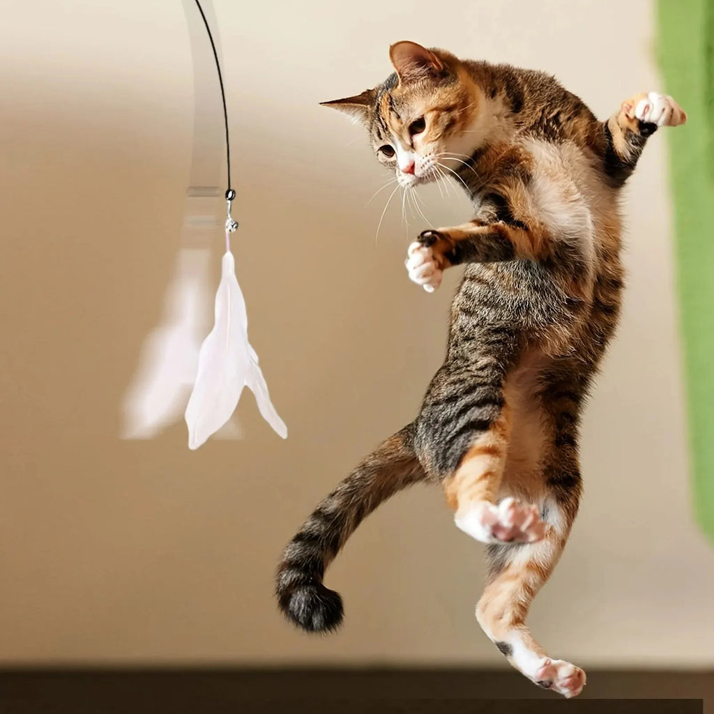 Interactive Cat Feather Teaser Wand