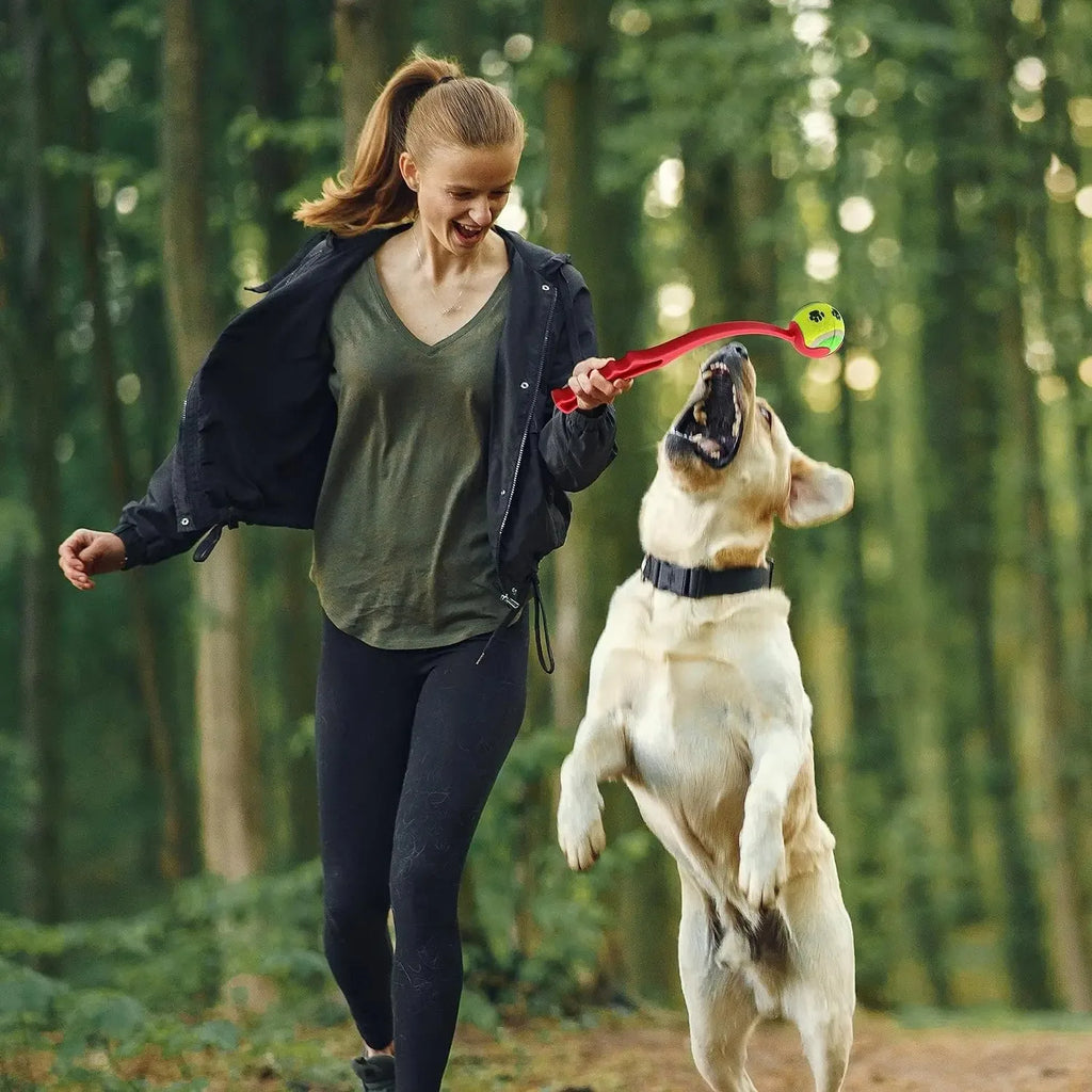 Pet Throwing Stick for Dogs – Tennis Ball Launcher Toy for Outdoor Play and Training.