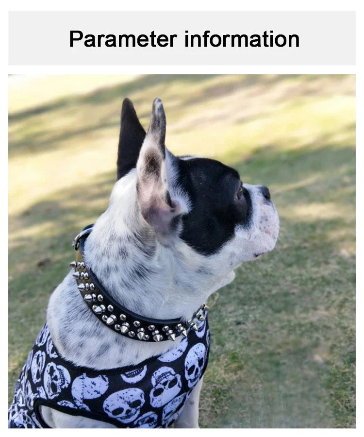 Adjustable PU leather dog collar with spikes and rivets – punk-style collar for small dogs and cats.