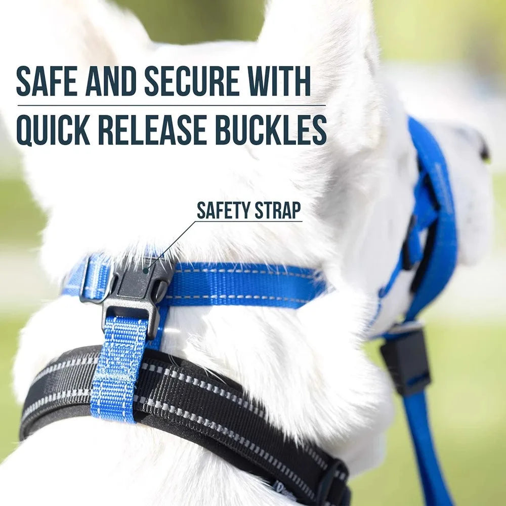 Nylon dog muzzle rope – lightweight anti-bite mask for large dogs.