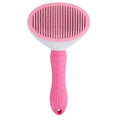 CleanPaw Brush