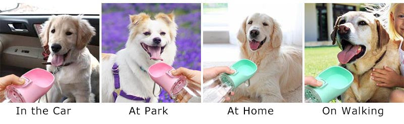 Portable Leakproof Pet Water Bottle 🐾