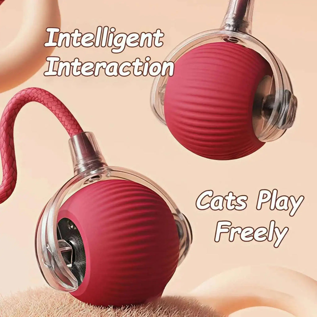 Interactive Dog Ball Toy