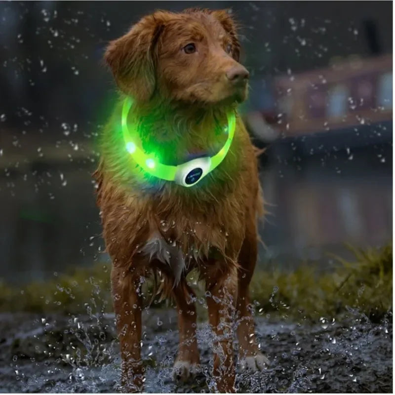 LED luminous waterproof PVC dog collar – USB rechargeable glowing safety collar for dogs of all sizes.