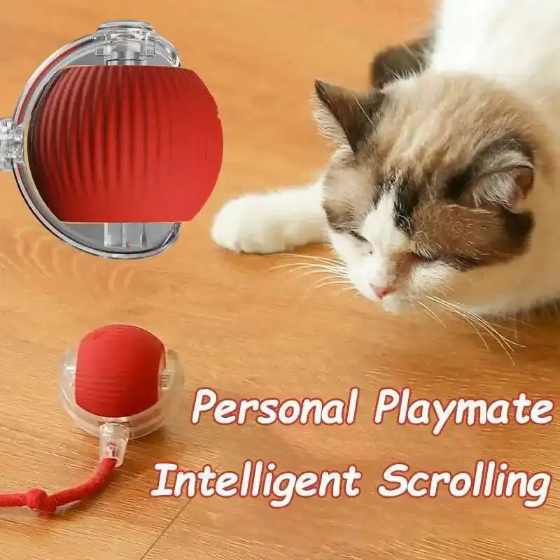 Interactive Dog Ball Toy