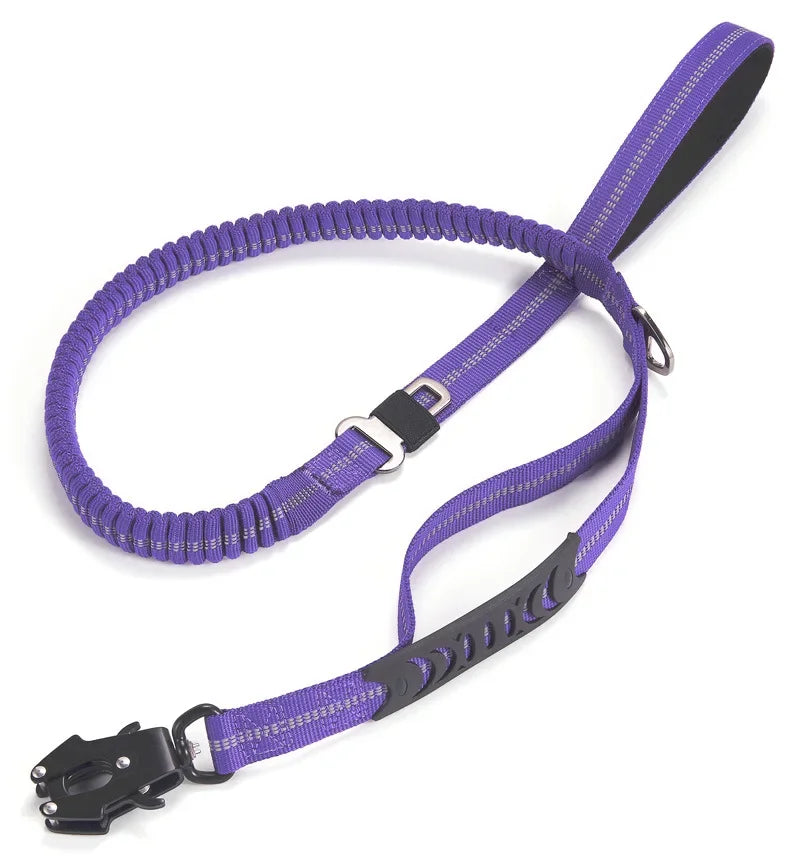 Reflective Shock Absorbing Dog Leash with Seatbelt