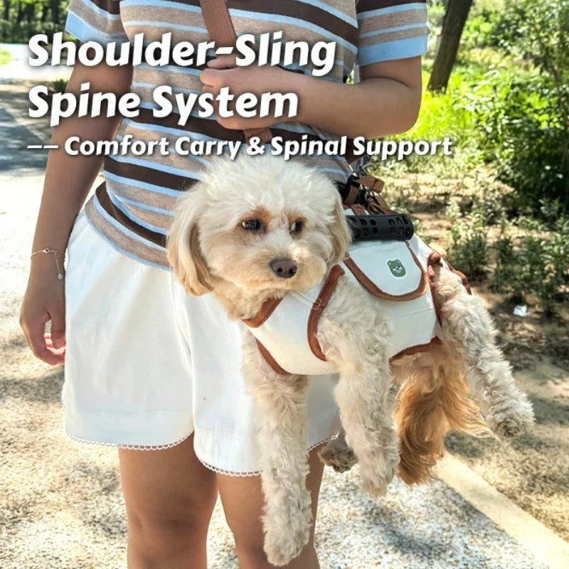 Small dog carrier backpack with breathable, escape-proof harness.