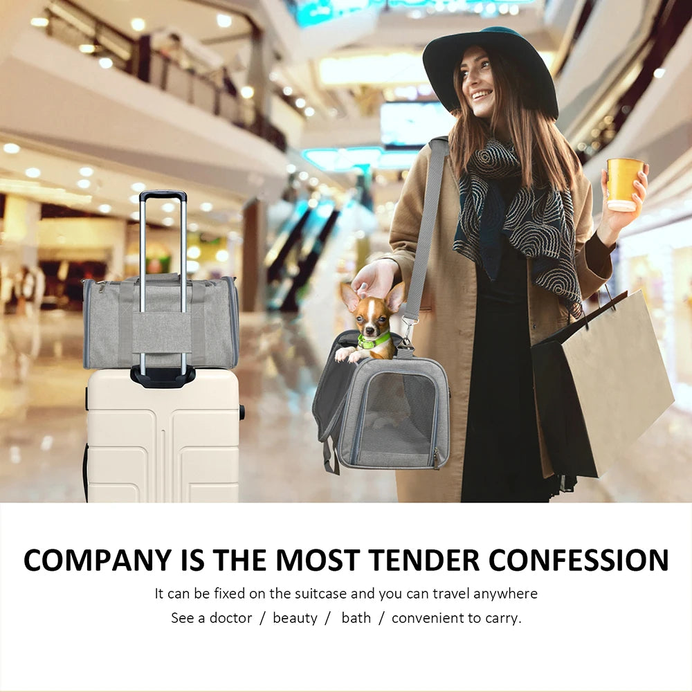 Soft-Sided Dog & Cat Carrier Backpack – Airline-Approved Travel Bag for Small Pets.