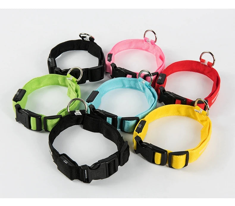 LED Glow Nylon Dog Leash