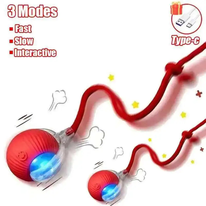 Interactive Dog Ball Toy