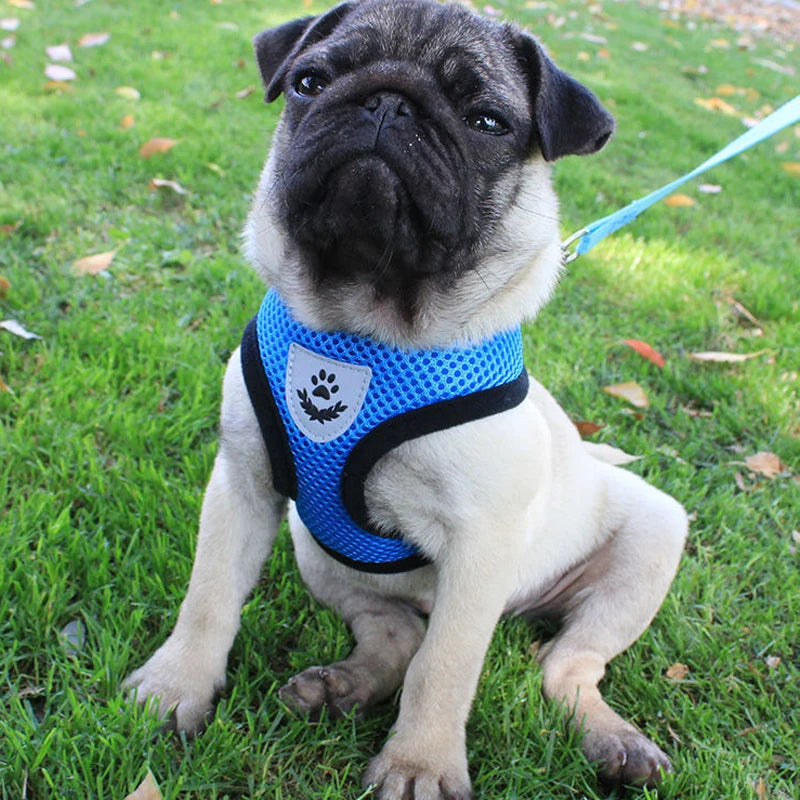 **Breathable Pet Harness Set **