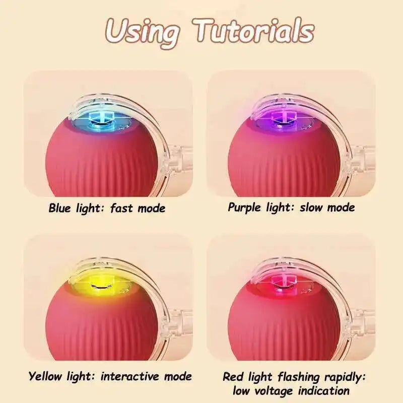 Interactive Dog Ball Toy