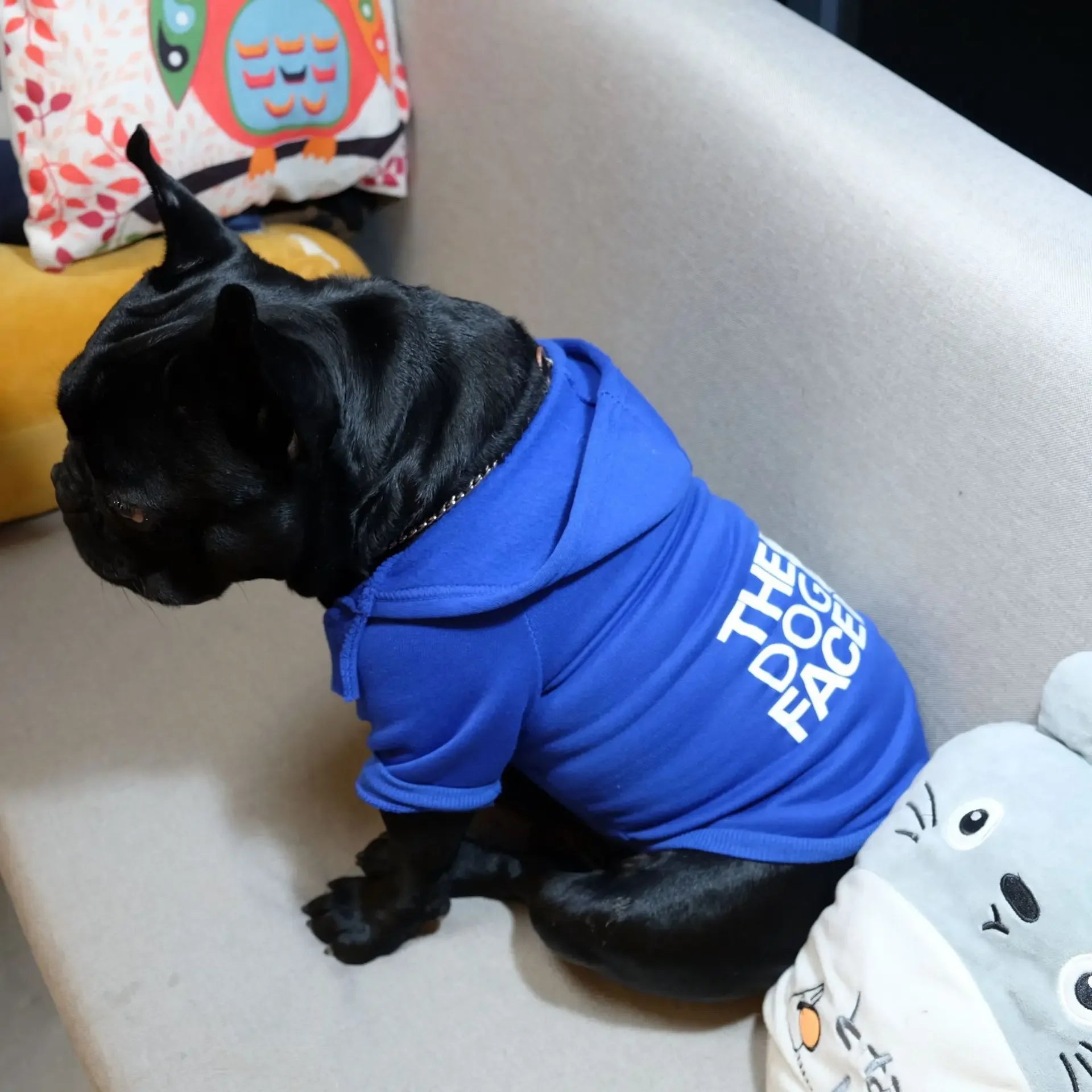 Warm Winter Dog Hoodie Jacket