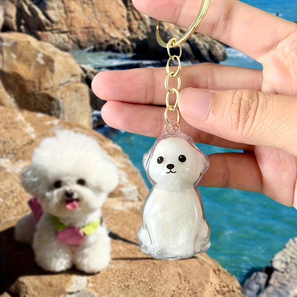 **Pet Hair Keepsake Capsule Keychain **