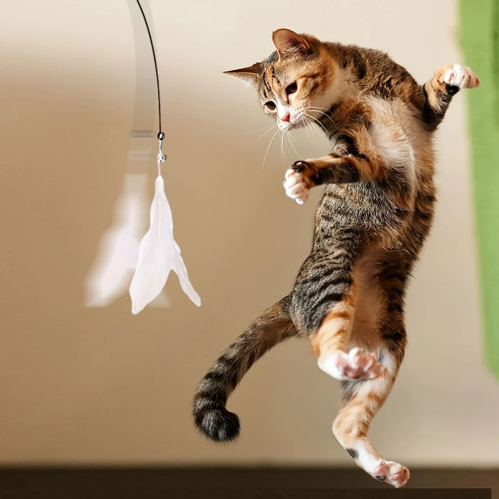 Interactive Cat Feather Teaser Wand