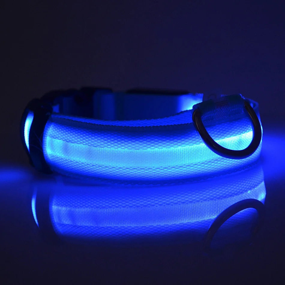 LED Glow Nylon Dog Leash