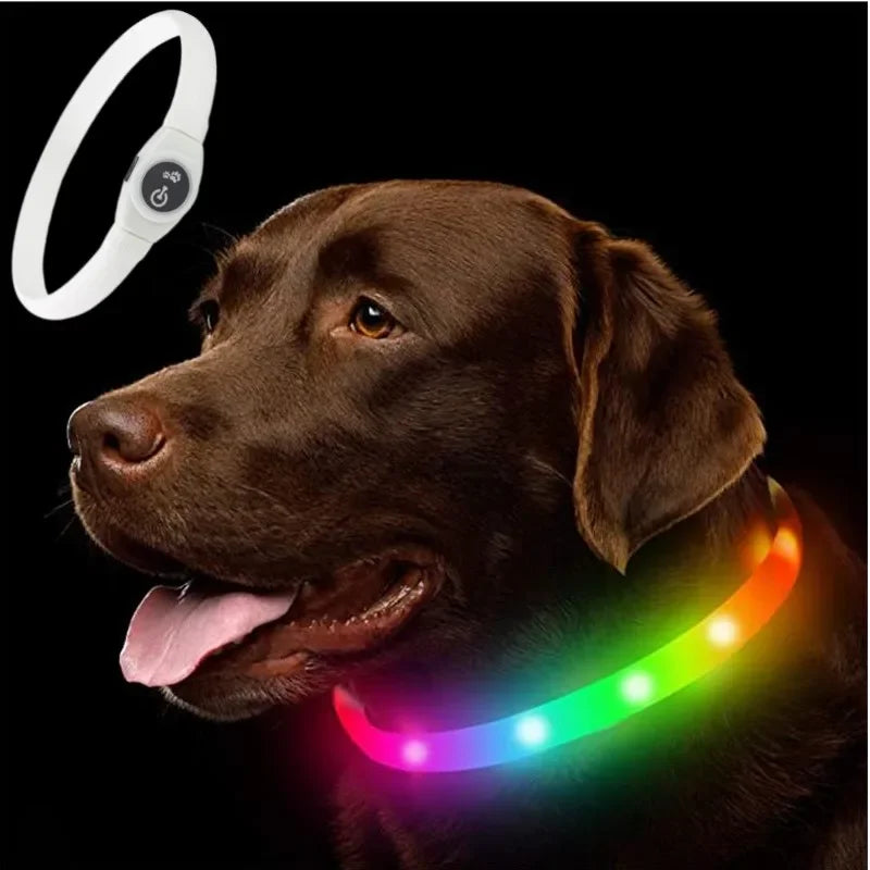 LED luminous waterproof PVC dog collar – USB rechargeable glowing safety collar for dogs of all sizes.