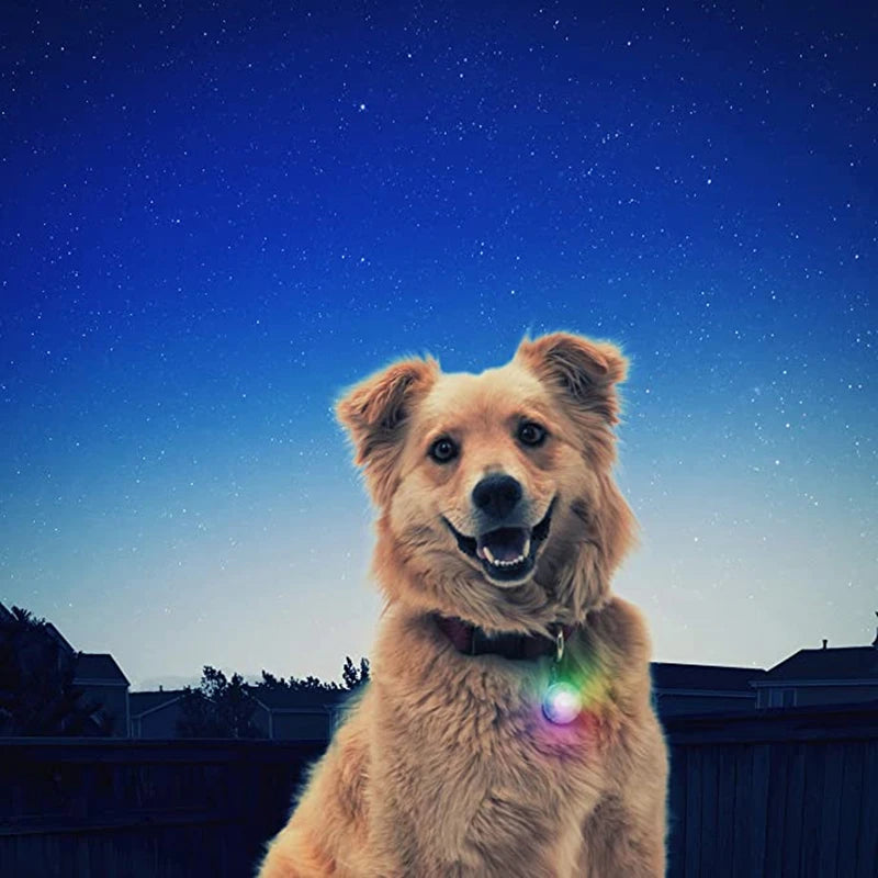 Usb Charging Glowing Dog Collar With Pendant Detachable Luxury Led Light Bright For Small Dogs Cat Night Safety Collar Wholesale