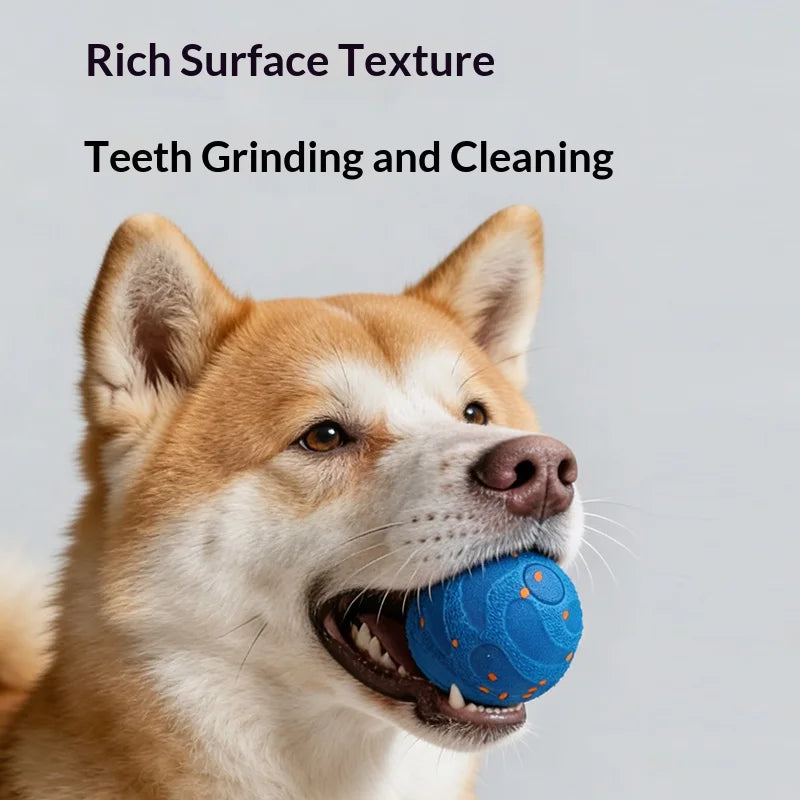 Smart LED Interactive Pet Ball