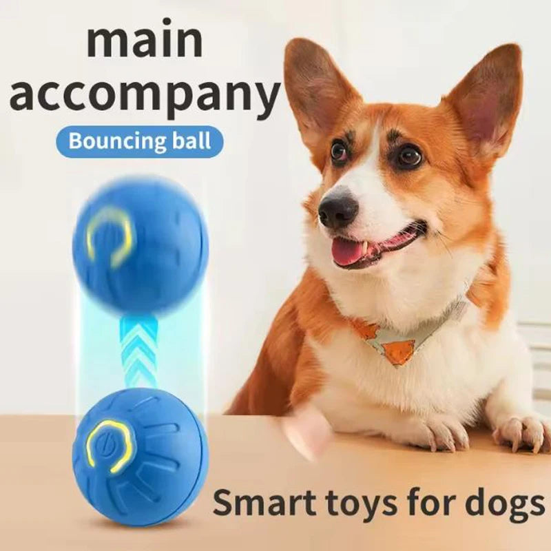 Smart Interactive Pet Ball