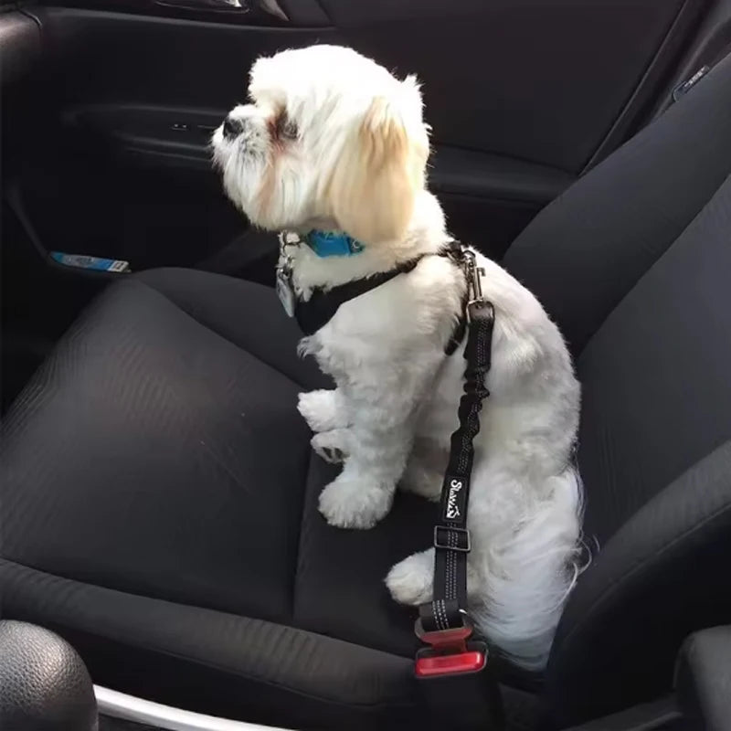 Adjustable reflective dog car safety belt with shock-absorbing strap.