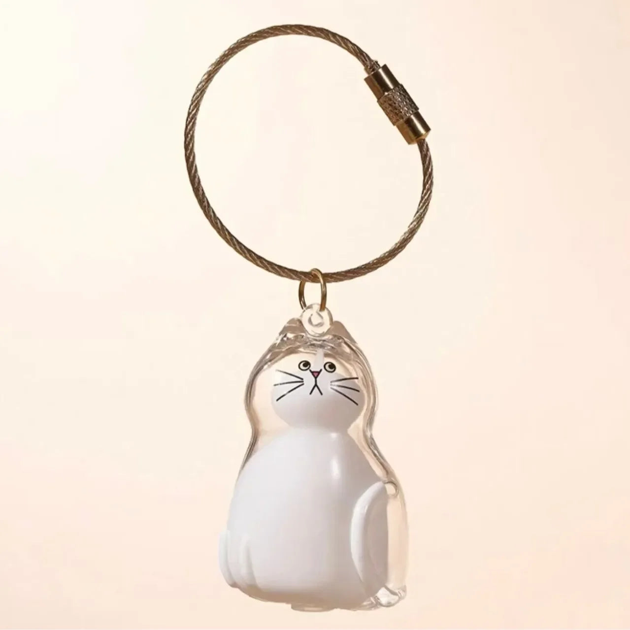 **Pet Hair Keepsake Capsule Keychain **