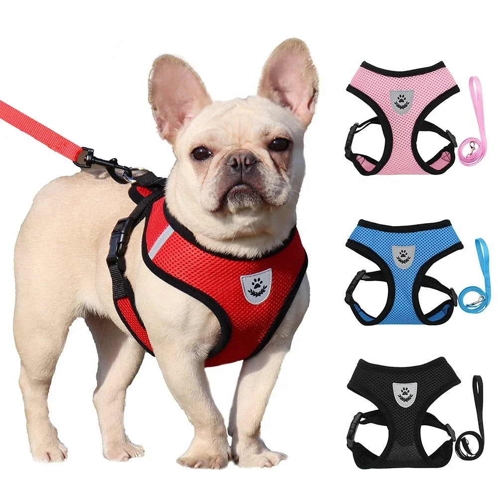 **Breathable Pet Harness Set **