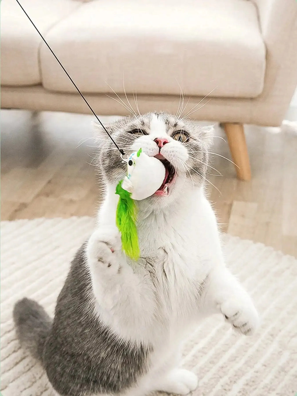 Interactive Cat Bird Feather Bell Suction Toy