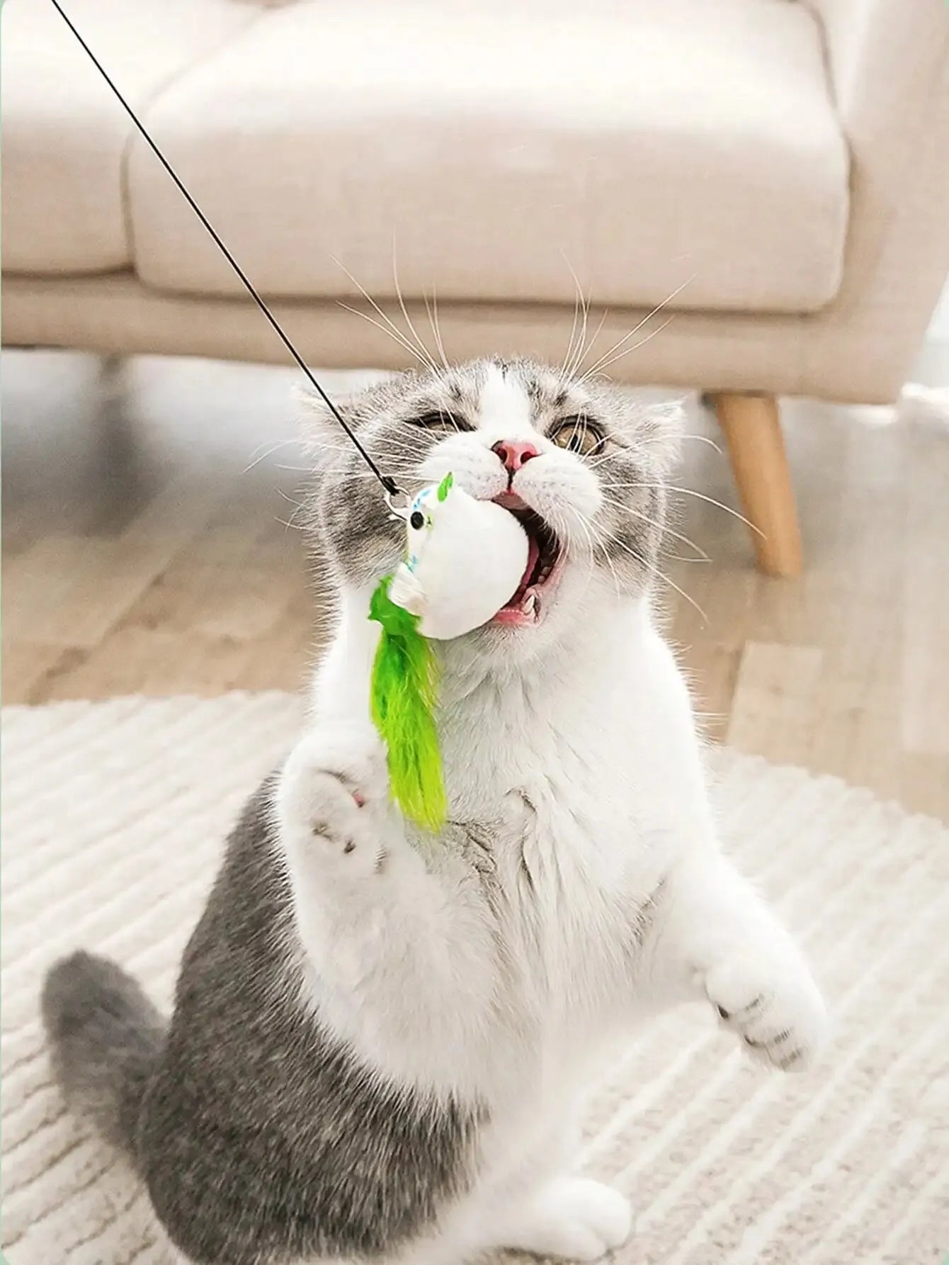 Interactive Cat Bird Feather Bell Suction Toy