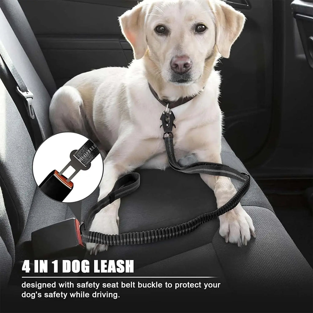 Reflective Shock Absorbing Dog Leash with Seatbelt