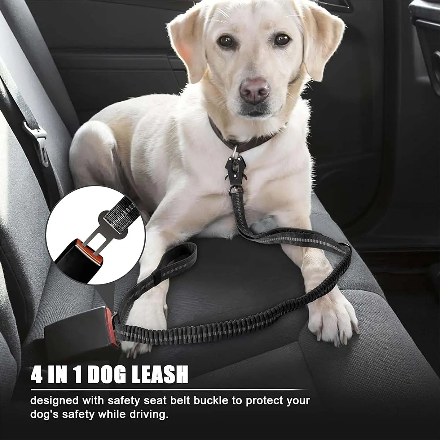 Reflective Shock Absorbing Dog Leash with Seatbelt