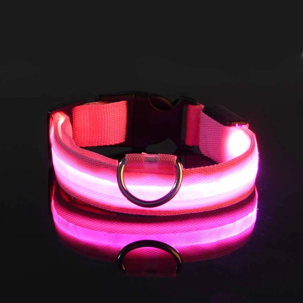 LED Glow Nylon Dog Leash