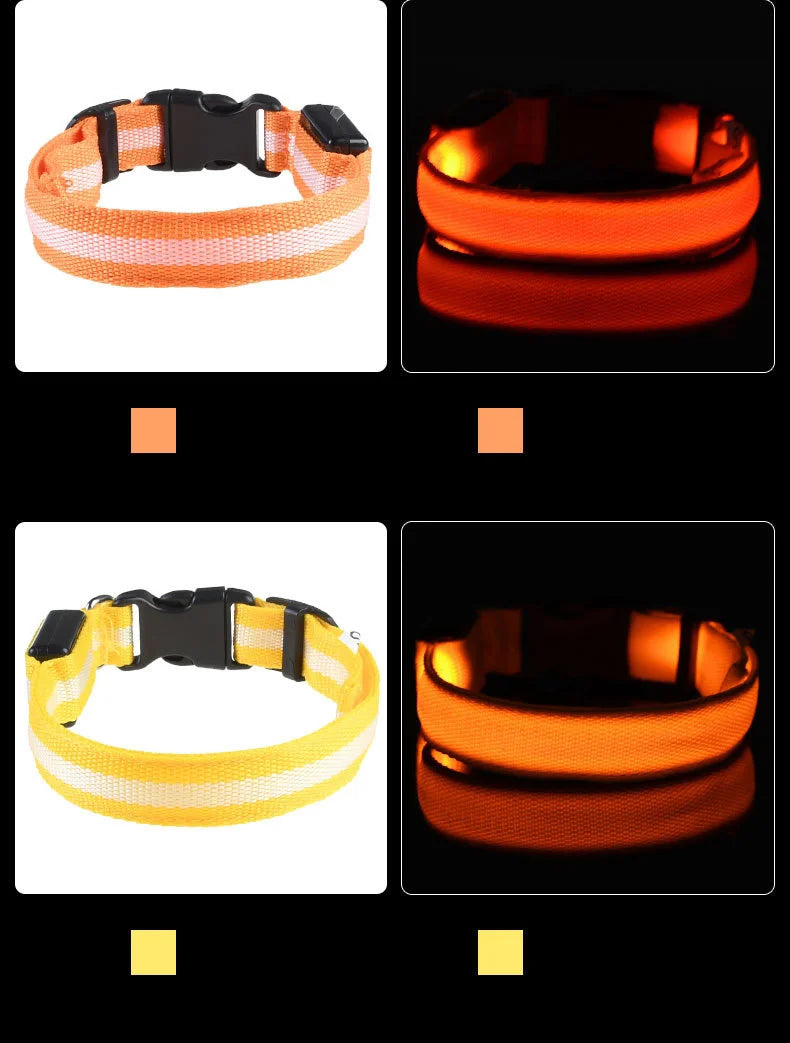 LED Glow Nylon Dog Leash