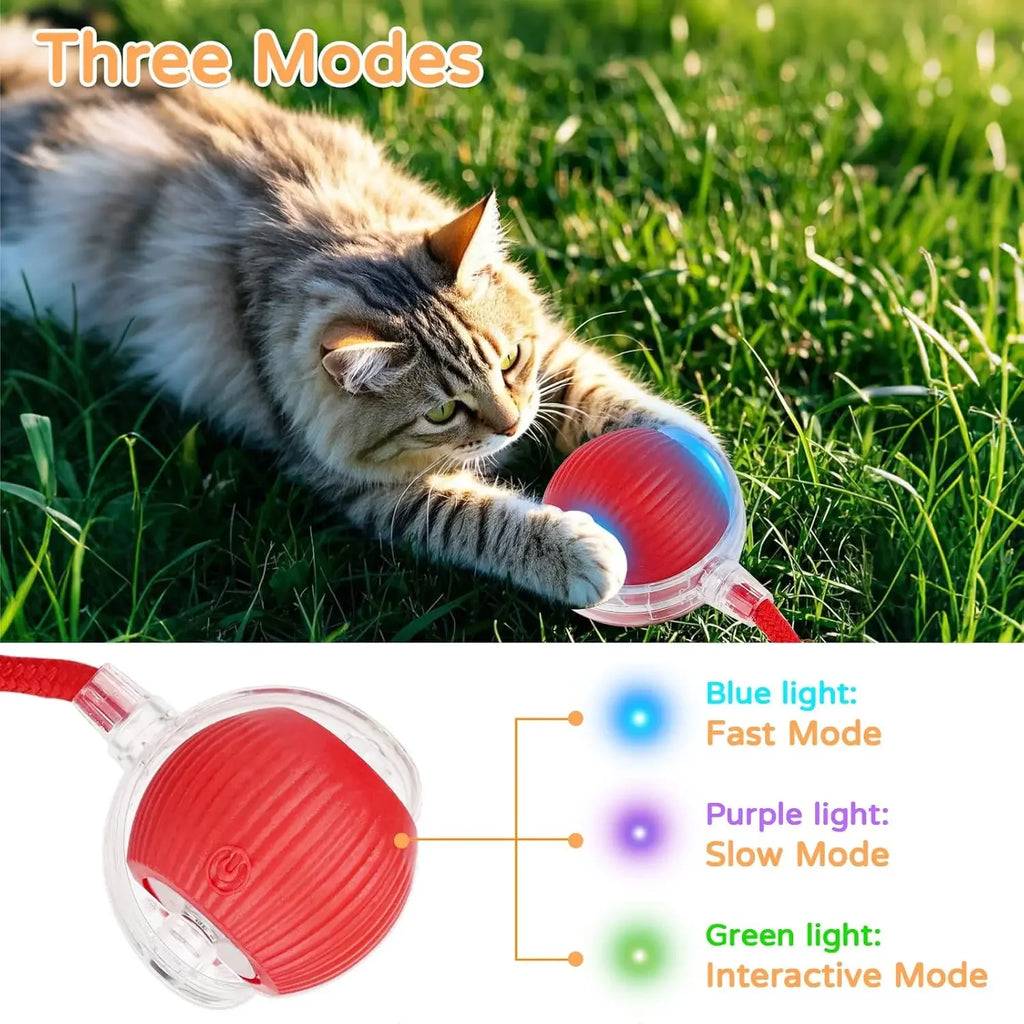 Automatic Rolling Interactive Pet Ball Toy (Rechargeable Smart Toy