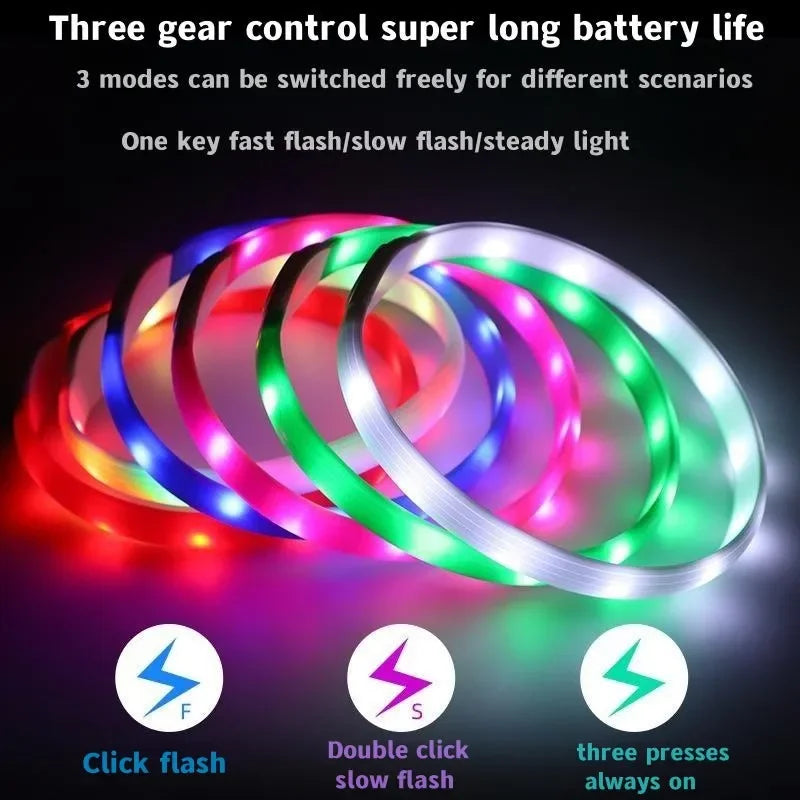 LED luminous waterproof PVC dog collar – USB rechargeable glowing safety collar for dogs of all sizes.