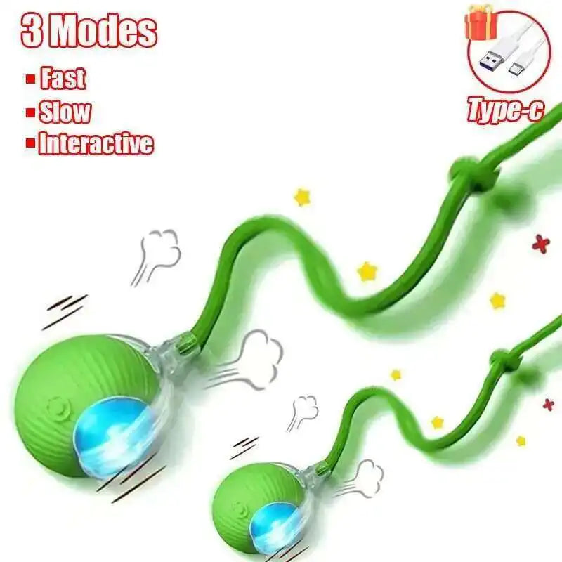 Interactive Dog Ball Toy