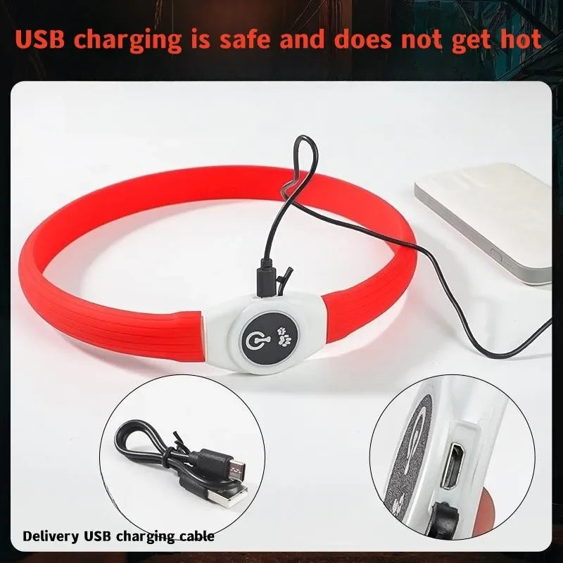 LED luminous waterproof PVC dog collar – USB rechargeable glowing safety collar for dogs of all sizes.