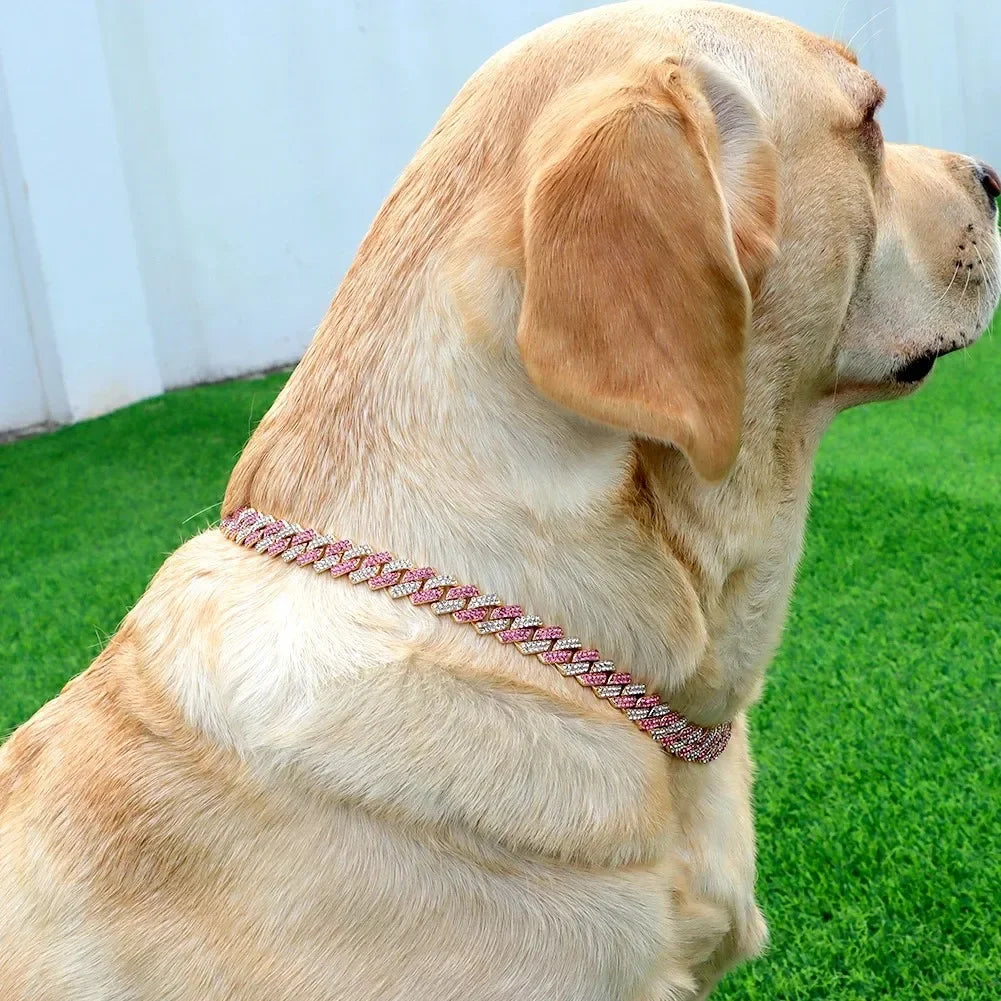 Diamond Cuban metal chain dog collar – stylish jewelry collar with secure buckle for dogs and cats.