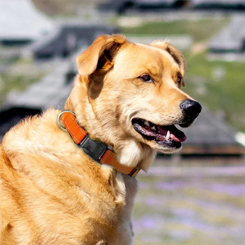 Adjustable reflective nylon pet collar for dogs and cats – anti-slip, anti-choke, durable walking collar.
