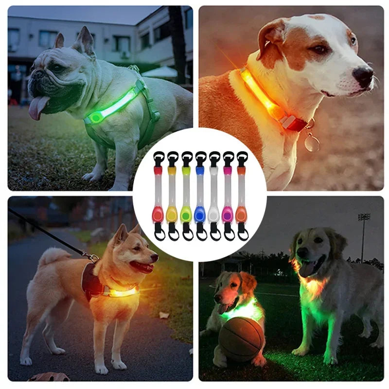 Waterproof LED glowing dog collar – flashing anti-lost safety light for night visibility