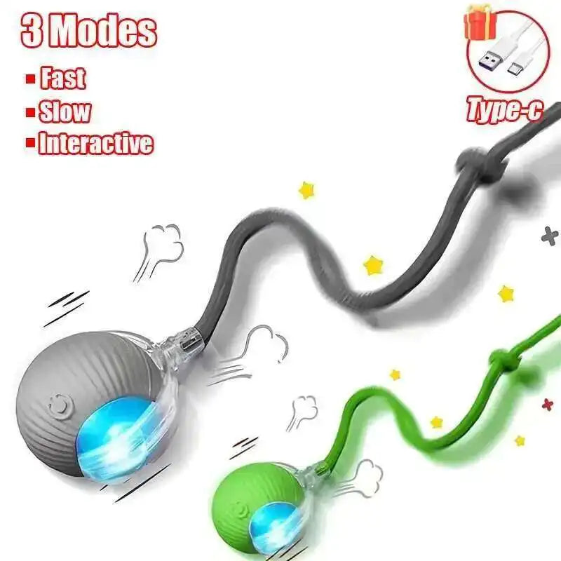 Interactive Dog Ball Toy