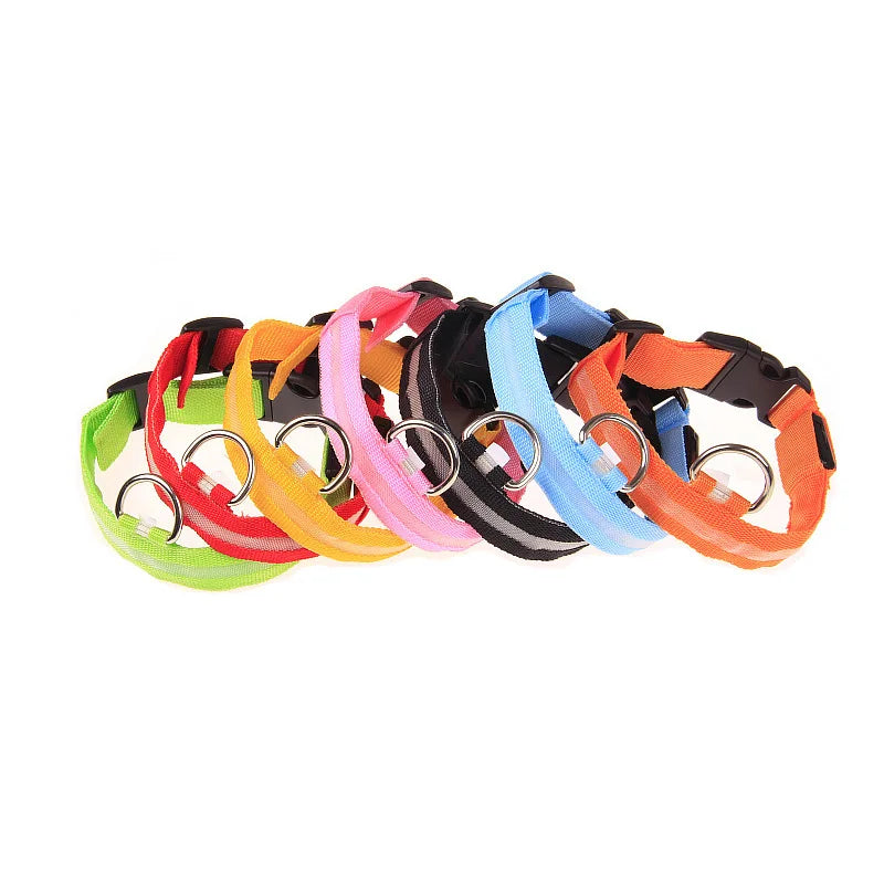 LED Glow Nylon Dog Leash