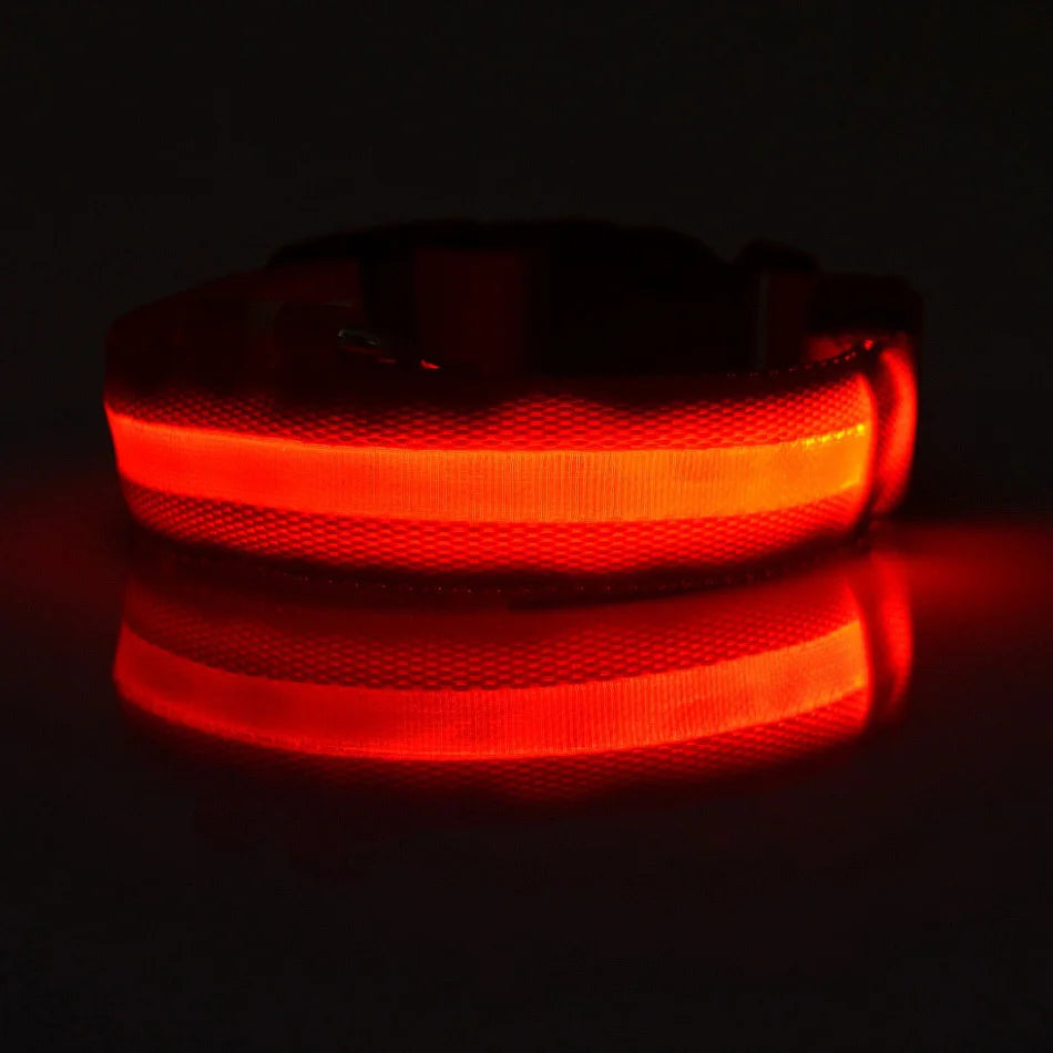 LED Glow Nylon Dog Leash
