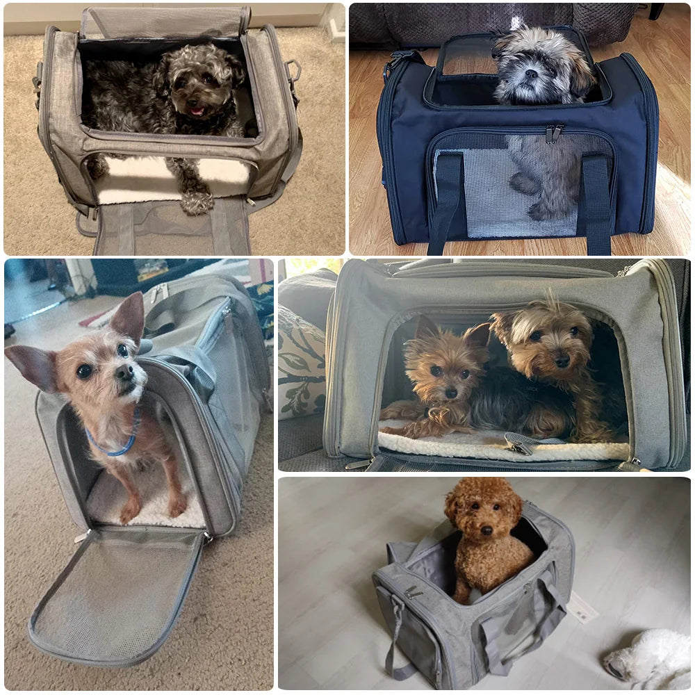 Soft-Sided Dog & Cat Carrier Backpack – Airline-Approved Travel Bag for Small Pets.
