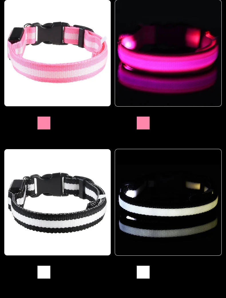 LED Glow Nylon Dog Leash