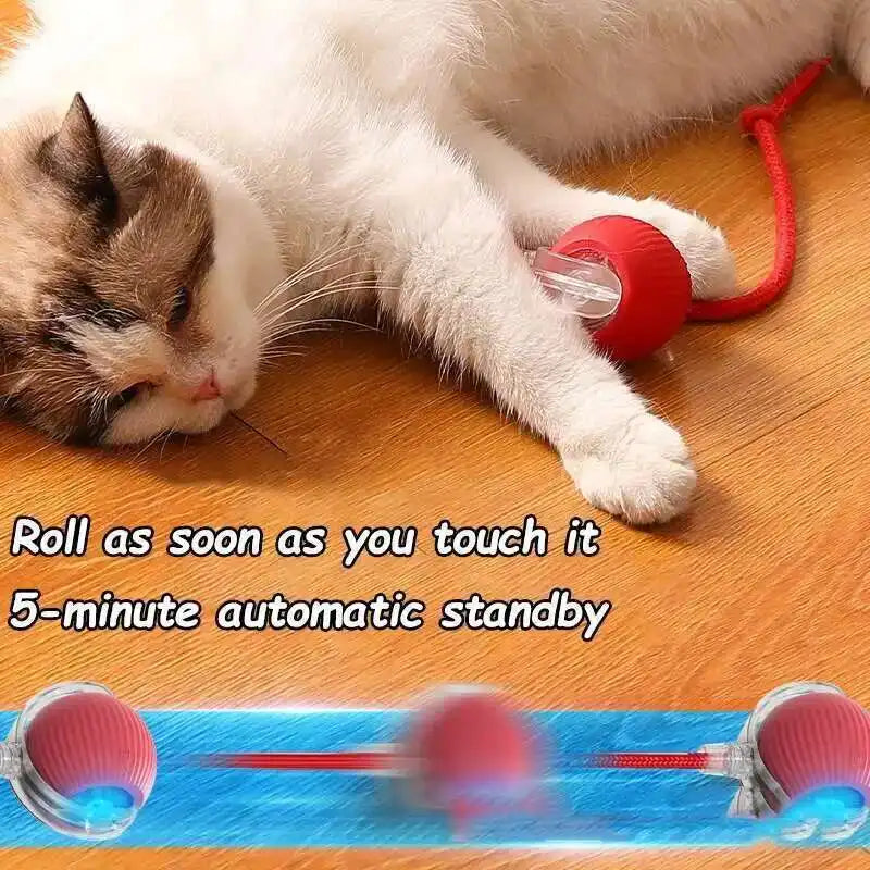 Interactive Dog Ball Toy