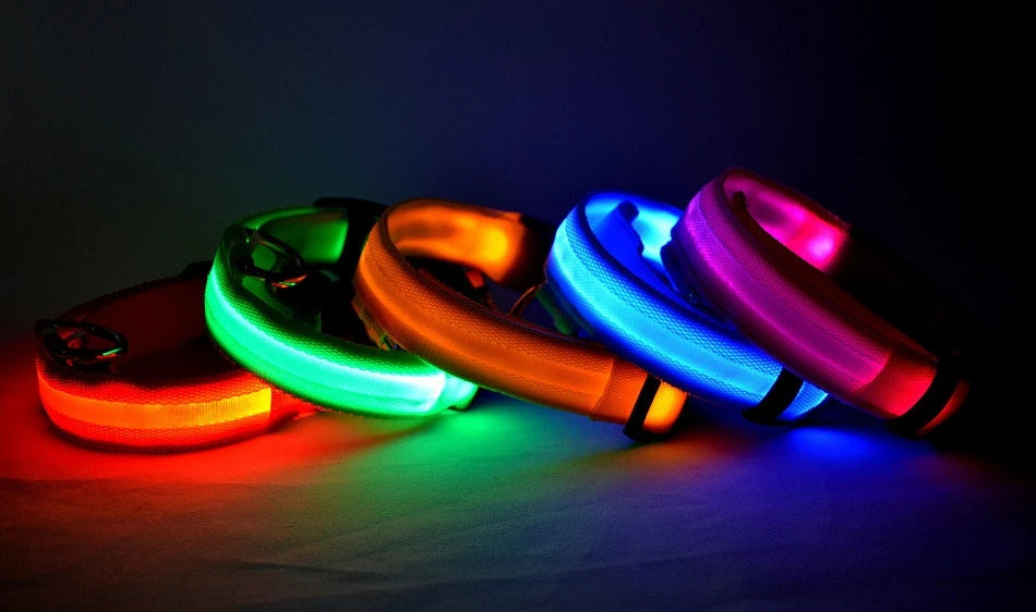LED Glow Nylon Dog Leash