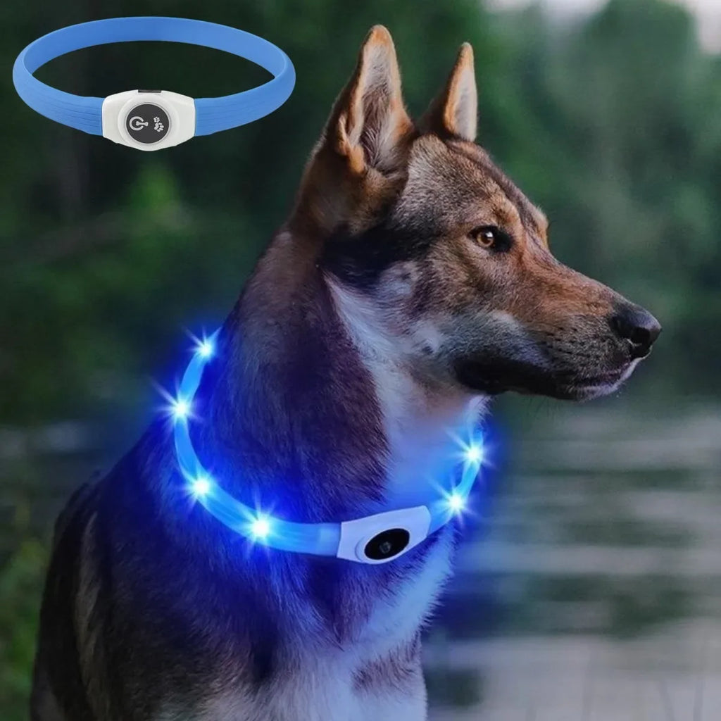 LED luminous waterproof PVC dog collar – USB rechargeable glowing safety collar for dogs of all sizes.