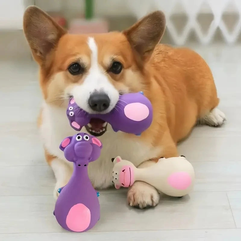 Cute Squeaky Dog Chew Toy